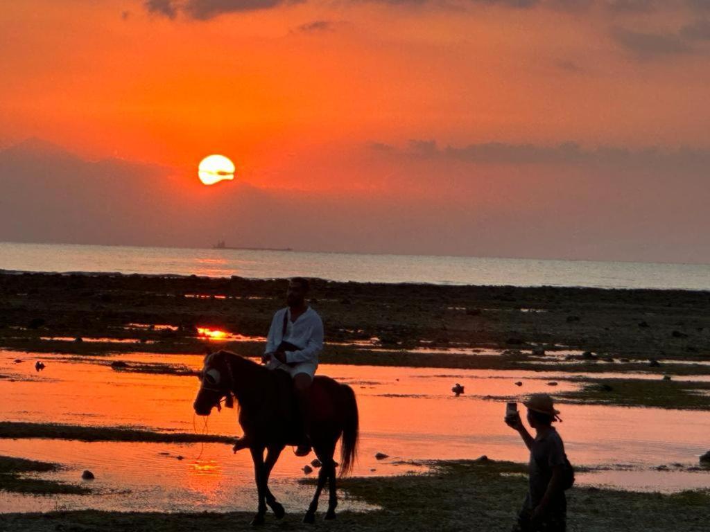 丽卡住宿加早餐旅馆 吉利特拉旺安 外观 照片